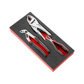 Facom MODM.CPEA3 3 Piece Multigrip, Lock and Wire Stripping Plier Set In Foam