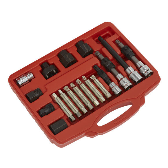 Sealey SX402 Alternator Freewheel Pulley Removal Set 18pc