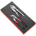 Facom MODM.PR12 2 Piece Multi-Grip and Lock-Grip Plier Set In Foam Module