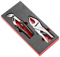 Facom MODM.CPE1SLS 2 Piece Tethered Lock and Multigrip Plier in Foam
