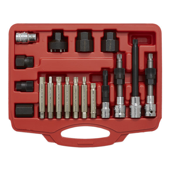 Sealey SX402 Alternator Freewheel Pulley Removal Set 18pc