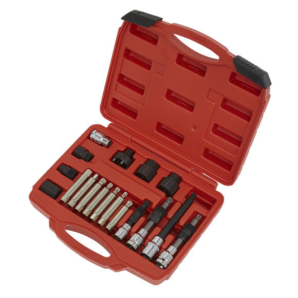Sealey SX402 Alternator Freewheel Pulley Removal Set 18pc