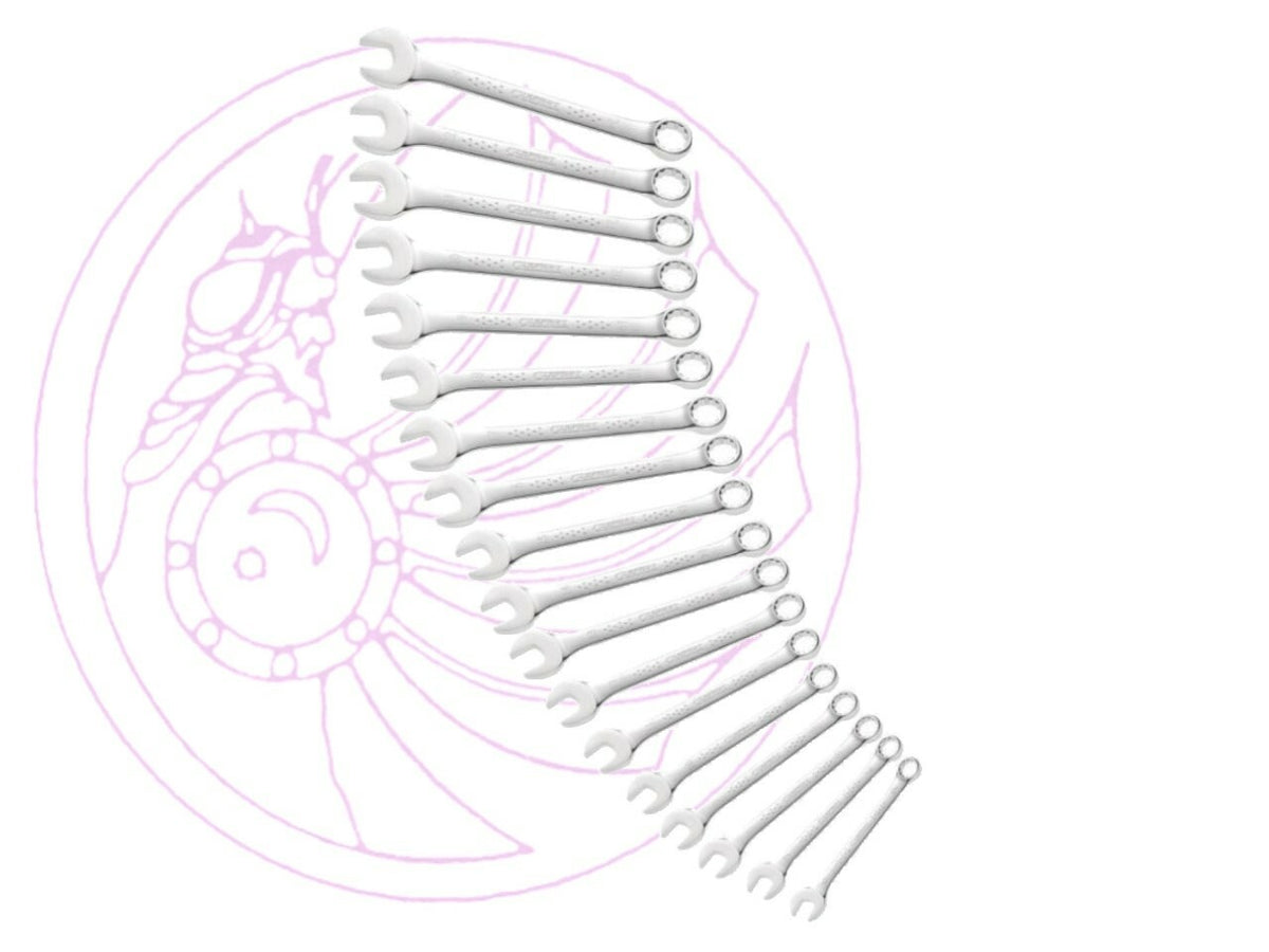 Expert by Facom Set of 16- Metric Combination Spanners 6-24mm-E113239